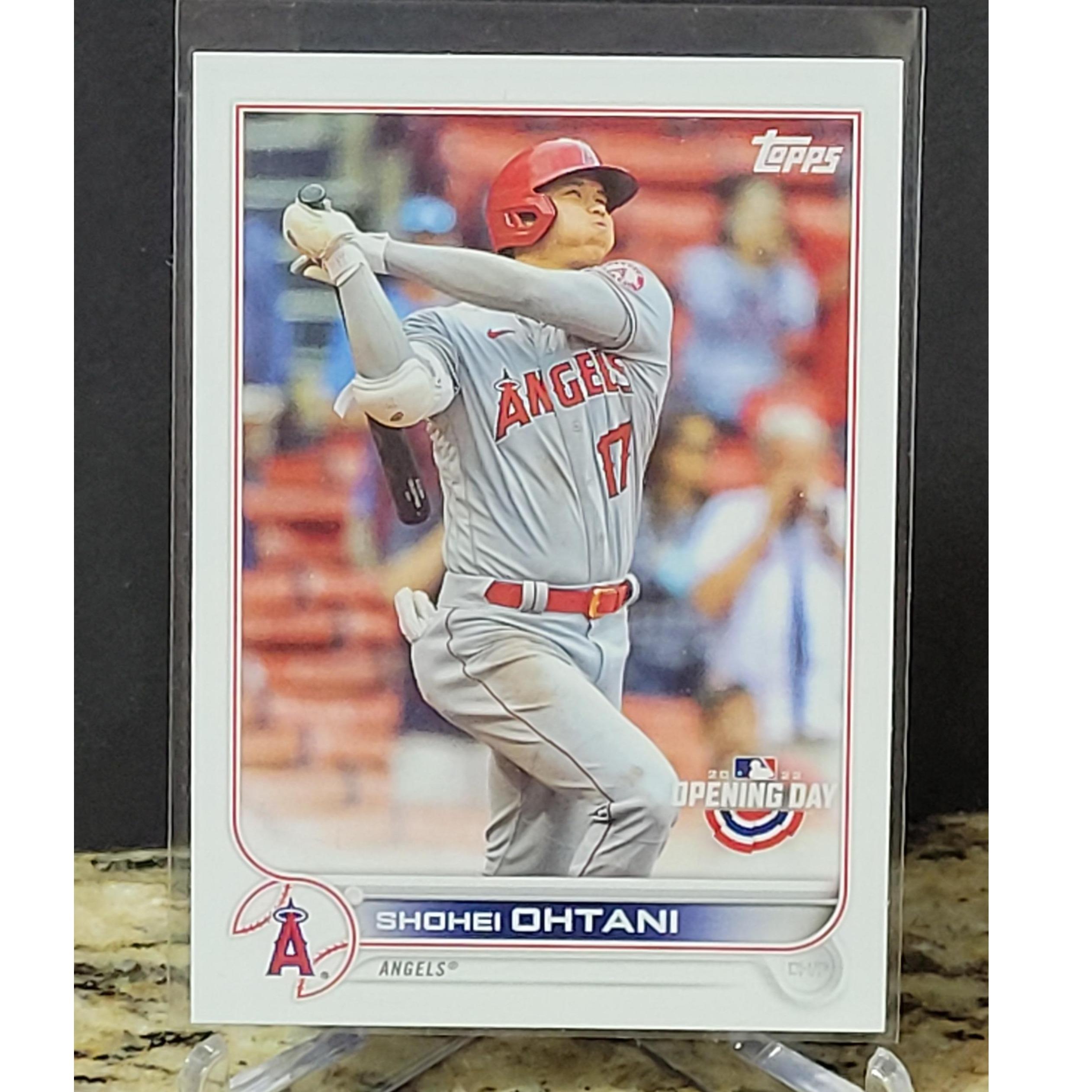 Shohei Ohtani intelligence overview