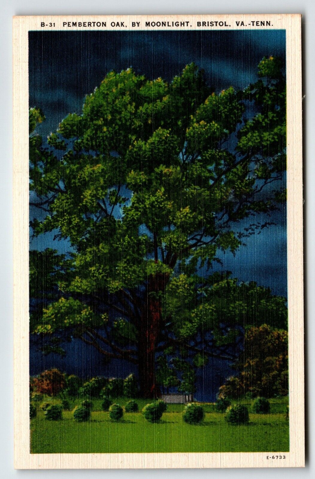 Pemberton Oak Tree By Moonlight Bristol Virginia Tennessee Linen