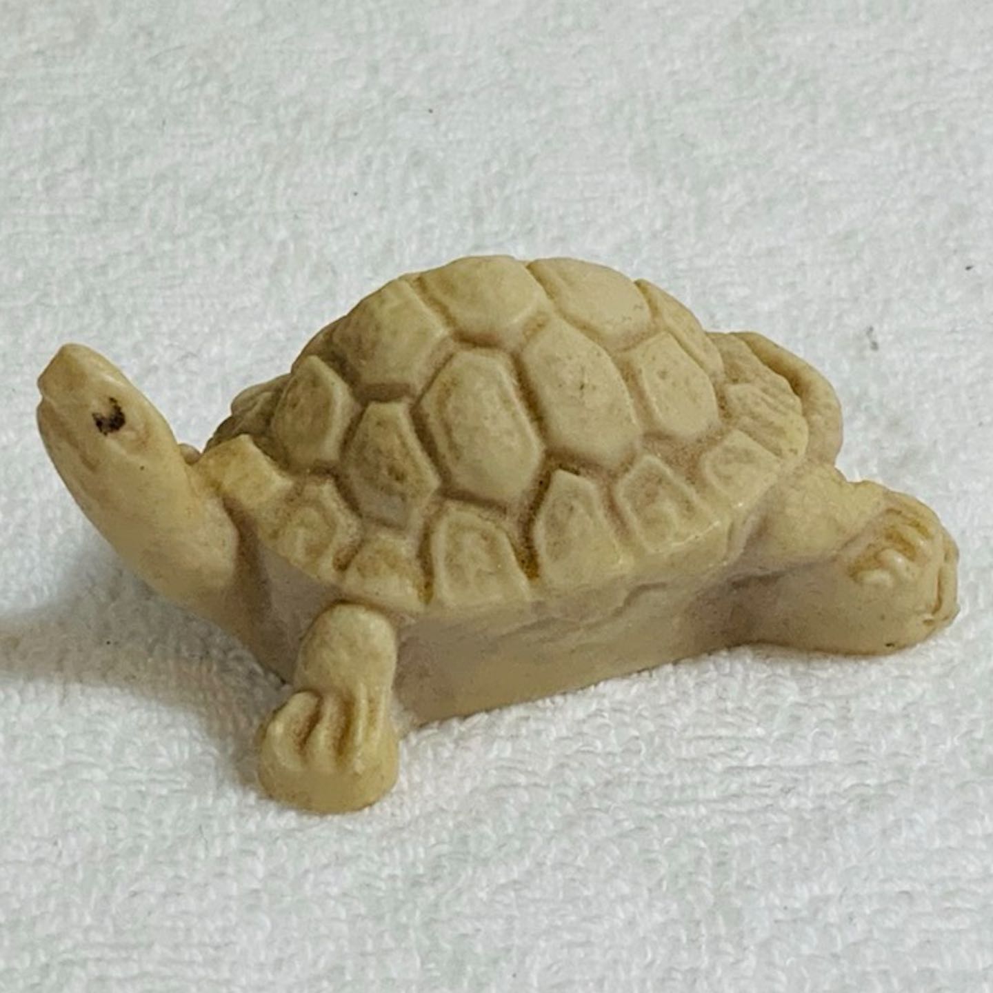 Carved Turtle
