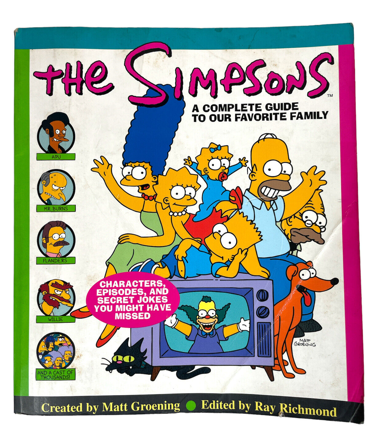 The Simpsons A Complete Guide to Our Favorite Family Book